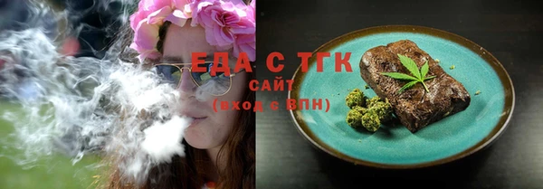 индика Арсеньев