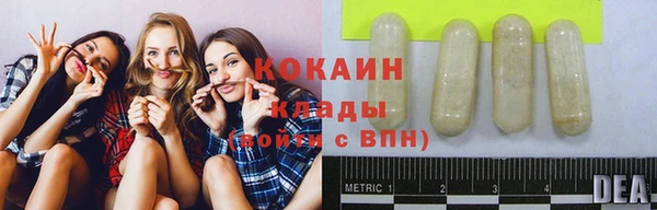 индика Арсеньев