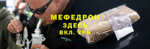индика Арсеньев