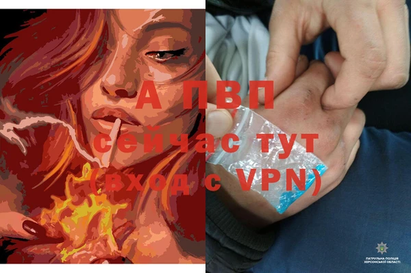 ECSTASY Аркадак