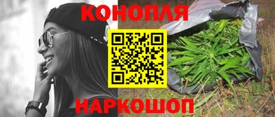гидропоника Новокубанск