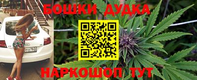 круглые Новодвинск