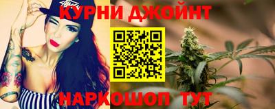 гидропоника Новокубанск