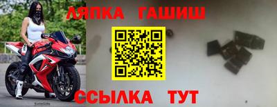 гидропоника Новокубанск