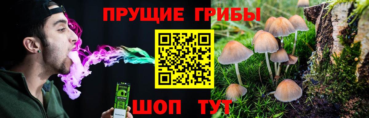 Осинники  Псилоцибиновые грибы Magic Shrooms  Вход с VPN 